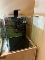 Aquarium 60 litres Dennerle équipé haut de gamme 38x38x43 cm, Animaux & Accessoires, Enlèvement, Comme neuf, Autres types
