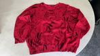 Trui green ice, Kleding | Dames, Truien en Vesten, Maat 46/48 (XL) of groter, Ophalen of Verzenden, Gedragen, Rood