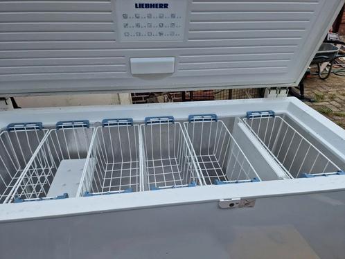Diepvries/vriezer Liebherr 461L, Elektronische apparatuur, Vriezers en Diepvrieskisten, Gebruikt, Vrijstaand, Vrieskist, Ophalen