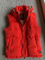 Superdry gilet comme neuf, Comme neuf, Taille 46 (S) ou plus petite, Superdry, Orange