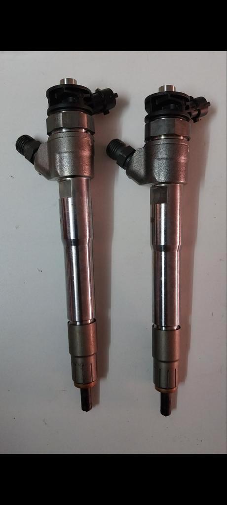 Set van 2 injectoren bosch 0 445 110 895, Auto-onderdelen, Brandstofsystemen, Renault, Gebruikt, Ophalen of Verzenden