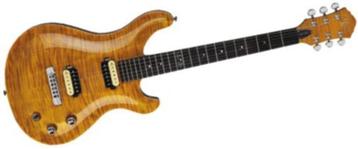 MICHAEL KELLY VALOR CUSTOM GITAAR