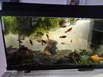Aquarium juwel 120 L te koop, Ophalen of Verzenden, Zo goed als nieuw