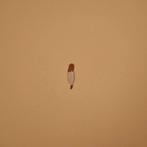 Wit bureau, Huis en Inrichting, Ophalen, Gebruikt, Bureau