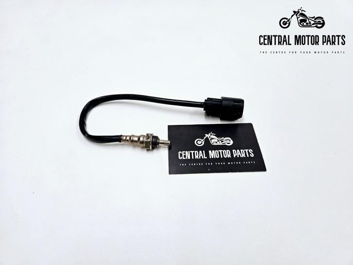 Rear O2 Sensor Softail 2018-2020, Motoren, Onderdelen | Harley-Davidson, Nieuw, Ophalen of Verzenden
