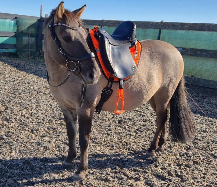 Ghost bolzano C line piccolo, Dieren en Toebehoren, Paarden en Pony's | Zadels, Zo goed als nieuw, Overige soorten, Ophalen of Verzenden