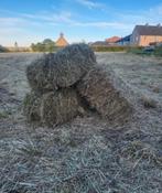 Kleine balen hooi van het veld af te halen., Zakelijke goederen, Landbouw | Veevoer, Ophalen