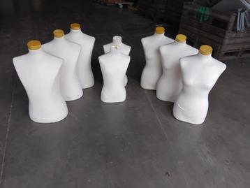Paspop Buste Torso beschikbaar voor biedingen