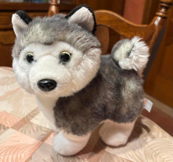 Pluche Husky puppy knuffel 12 × 23 × 23 cm, Kinderen en Baby's, Speelgoed | Knuffels en Pluche, Zo goed als nieuw, Hond, Ophalen of Verzenden