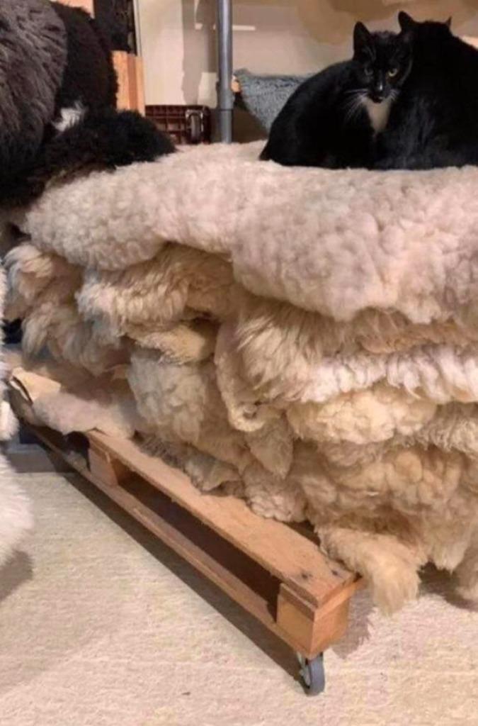 Grote schapenvacht XXL origineel 35 euro, Huis en Inrichting, Woonaccessoires | Plaids en Woondekens, Gebruikt, Ophalen of Verzenden