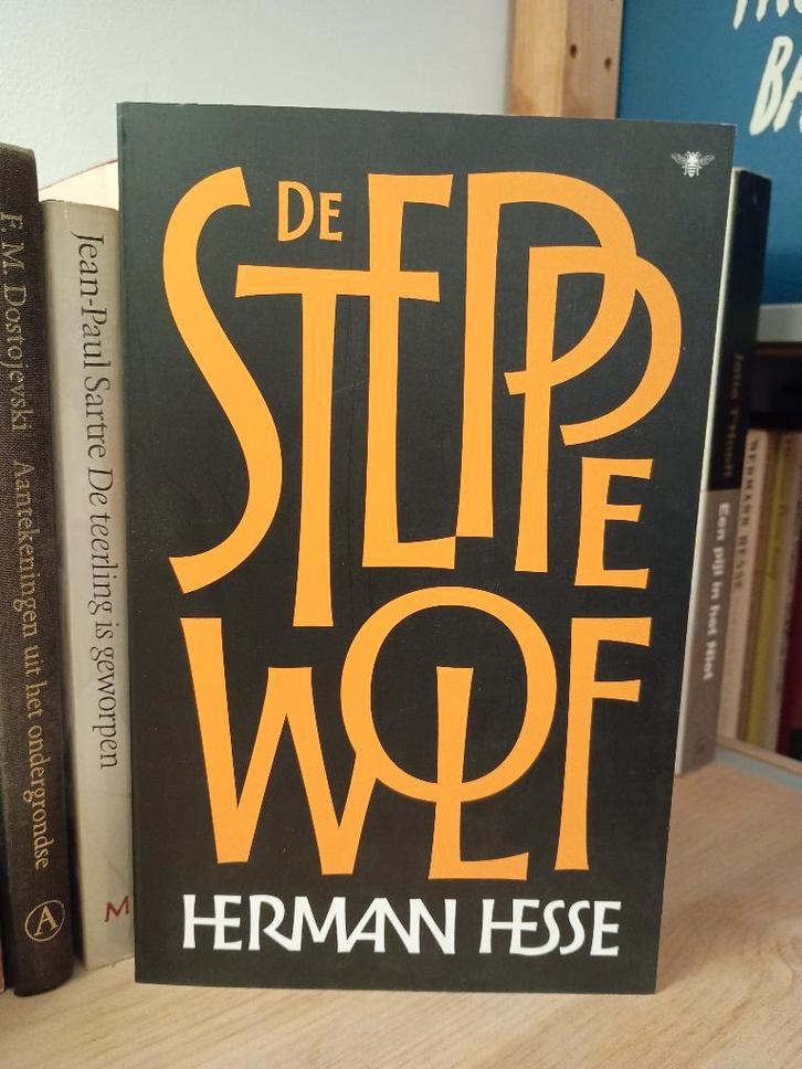 De Steppenwolf - Herman Hesse, Boeken, Literatuur, Zo goed als nieuw, Nederland, Ophalen of Verzenden