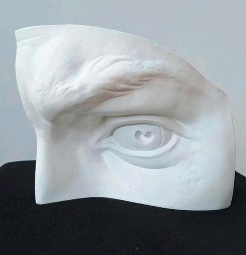 Groot linkeroog in gips van de 'David' van Michelangelo, Antiek en Kunst, Kunst | Beelden en Houtsnijwerken, Ophalen of Verzenden