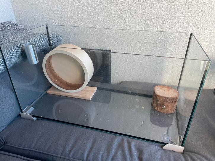 Très grande cage à hamster en verre, Animaux & Accessoires, Rongeurs & Lapins | Cages & Clapiers, Comme neuf, Cage, Hamster, Enlèvement
