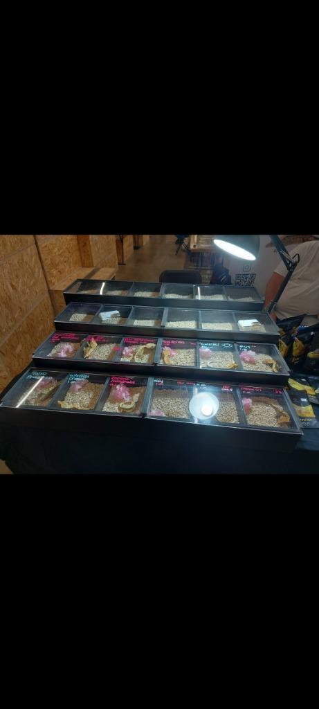 Display, Dieren en Toebehoren, Reptielen en Amfibieën