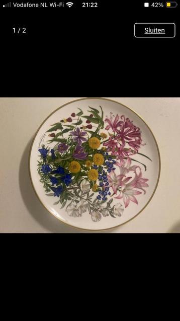 Prachtig volledig gaaf Wedgwood bord 'Oktober' (Frl_1). beschikbaar voor biedingen