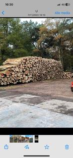 Brandhout eik beuk Essen, Tuin en Terras, Brandhout, Ophalen, Blokken