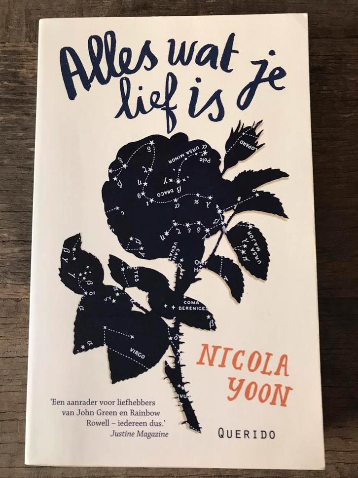 Nicola Yoon - Alles wat je lief is, Boeken, Kinderboeken | Jeugd | 13 jaar en ouder, Zo goed als nieuw, Ophalen of Verzenden