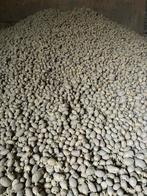 voederaardappelen Artemis 20 euro/1000kg