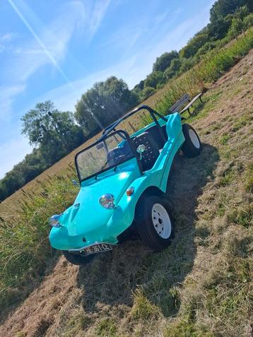 Buggy apal, Particulier, Achat
