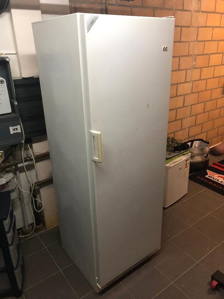 Rechtstaande diepvries, Zakelijke goederen, Horeca | Food, Diepvries, Ophalen