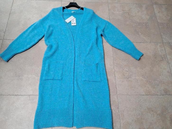 Nieuwe superlange blauwe gilet mt Large (zie foto's), Vêtements | Femmes, Pulls & Gilets, Neuf, Taille 42/44 (L), Bleu, Enlèvement ou Envoi