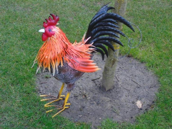 Standbeeld van een haan in smeedijzer van Colors..., Tuin en Terras, Tuinbeelden, Nieuw, Dierenbeeld, Metaal, Ophalen