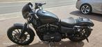 Harley Davidson Iron 833, Motoren, Motoren | Harley-Davidson, Particulier