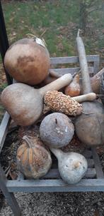 matériel de décoration, Enlèvement