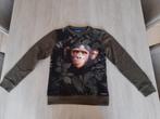 Kaki trui Someone 140, Trui of Vest, Ophalen of Verzenden, Zo goed als nieuw, Someone