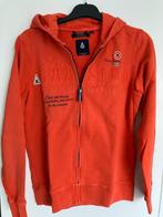 truien§ hoodies maat 164, Quicksilver en andere, Trui of Vest, Ophalen of Verzenden, Zo goed als nieuw