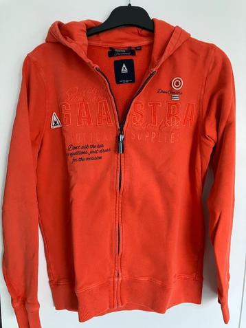 truien§ hoodies maat 164 beschikbaar voor biedingen