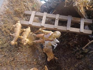 Crèche avec figurine  beschikbaar voor biedingen