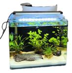 Aquarium cube, Animaux & Accessoires, Poissons | Aquariums & Accessoires, Enlèvement