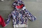 maat 74 nieuw vestje BABYFACE (34,95 euro), Kinderen en Baby's, Babyface, Nieuw, Ophalen of Verzenden, Truitje of Vestje