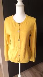 Gigue vestje, Kleding | Dames, Truien en Vesten, Gigue, Geel, Maat 42/44 (L), Ophalen of Verzenden