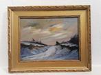 Winters landschap - Olieverf op paneel, gesigneerd, Antiek en Kunst, Ophalen of Verzenden