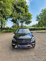 Mercedes ML 250 blue efficiency, Automaat, Zwart, Zwart, Bedrijf