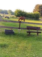 Paardenstalling te huur bij particulier, Dieren en Toebehoren