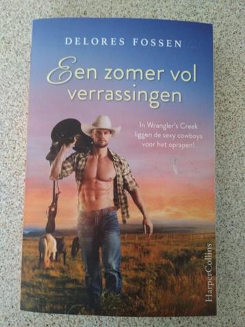 Roman - Een zomer vol verrassingen (Delores Fossen)