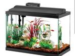 wij kunnen gratis aquaria en vissen bij u thuis ophalen, Dieren en Toebehoren, Ophalen of Verzenden, Zo goed als nieuw