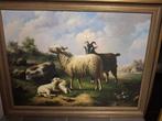groot schilderij schapen en geit, Antiek en Kunst, Ophalen