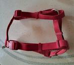 harnais pour chien, Animaux & Accessoires, Enlèvement, Utilisé