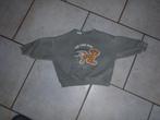 trui maat 74 - The Lion King, Kinderen en Baby's, Babykleding | Maat 74, Ophalen of Verzenden, Zo goed als nieuw, Jongetje, Truitje of Vestje