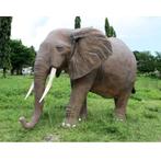 Éléphant d'Afrique — Statue d'éléphant d'Afrique Longueur, Collections, Enlèvement ou Envoi, Neuf