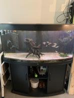 Juwel vision 260, Ophalen, Zo goed als nieuw, Leeg aquarium