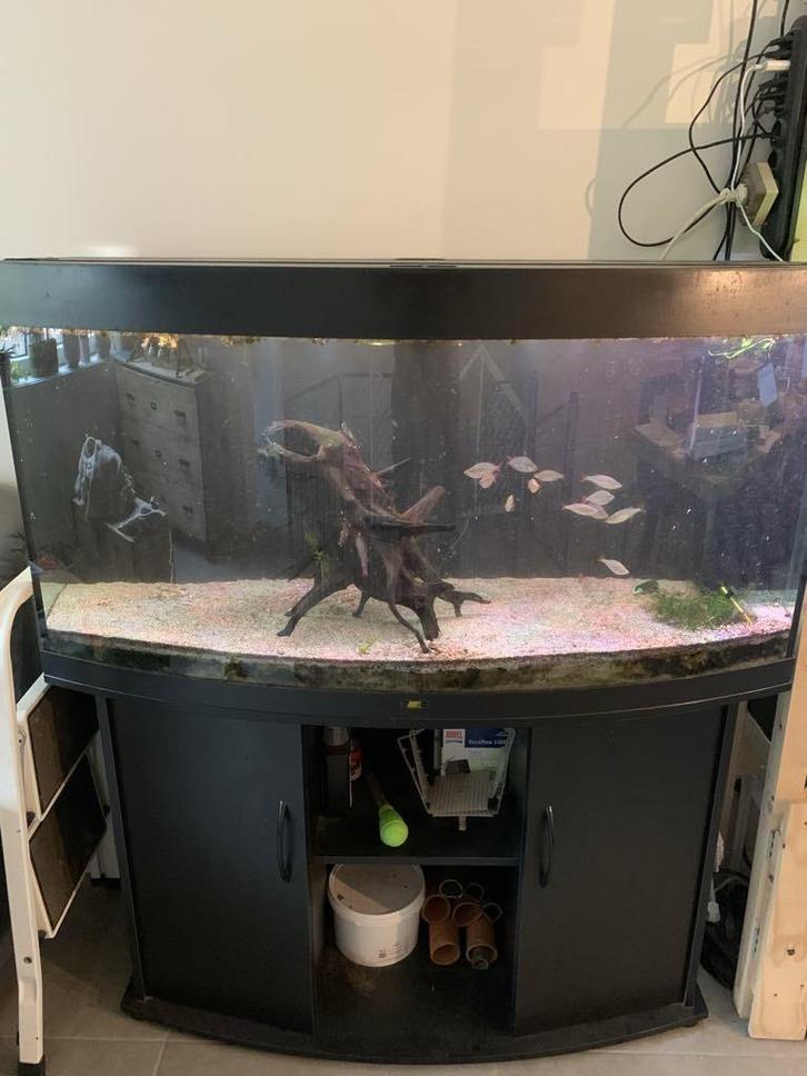 Juwel vision 260, Dieren en Toebehoren, Vissen | Aquaria en Toebehoren, Zo goed als nieuw, Leeg aquarium, Ophalen