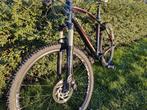 VTT Minerva, Comme neuf, Autres marques, VTT semi-rigide, 49 à 53 cm