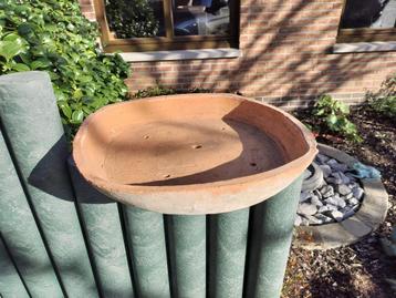 Vintage terracotta schaal voor rotsplanten beschikbaar voor biedingen