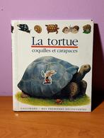 De vintage Gallimard-schildpadschelpen en -schelpen jaren 90, Antiek en Kunst, Ophalen