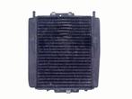 RADIATEUR Piaggio MP3 400 2007-2010 (01-2007/12-2010), Gebruikt
